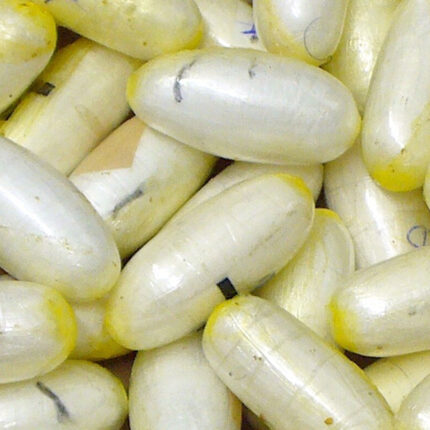 Cocaine capsules.