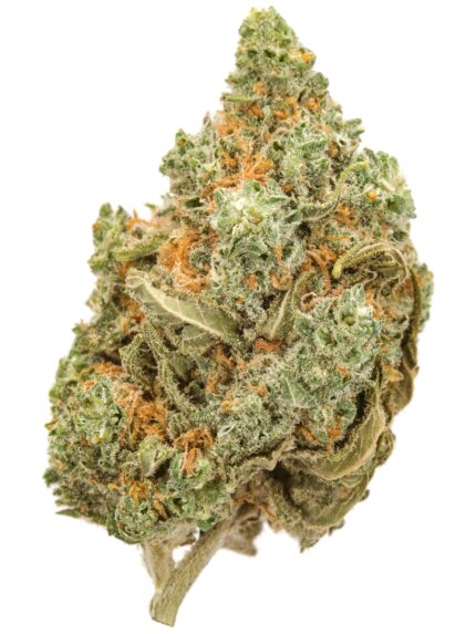 Buy Amnesia Haze Online